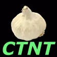 High Cholesterol