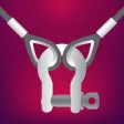 Bridle