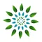 Awakened Mind: Mindfulness app