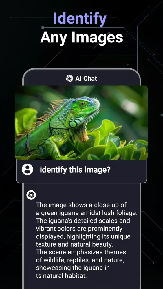 AI Chat স্ক্রিনশট