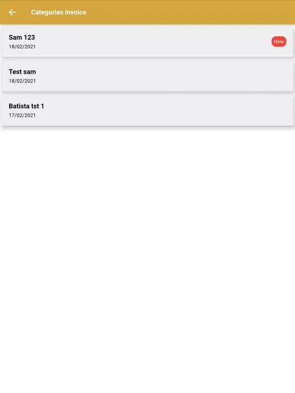 Скриншоты Vierwald AG Treuhand iPad 