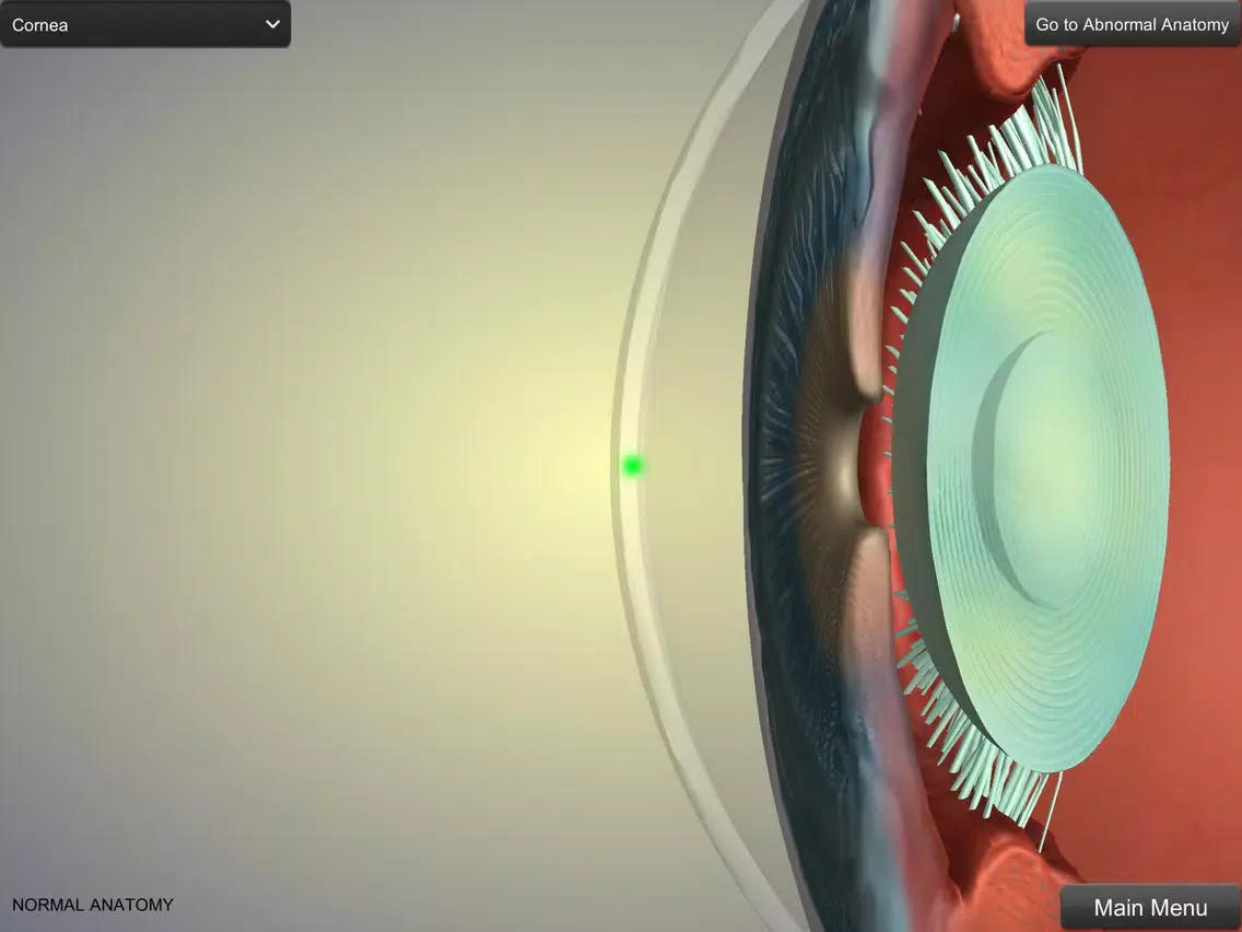 Eye Anatomy iPad  Ekran Görüntüleri