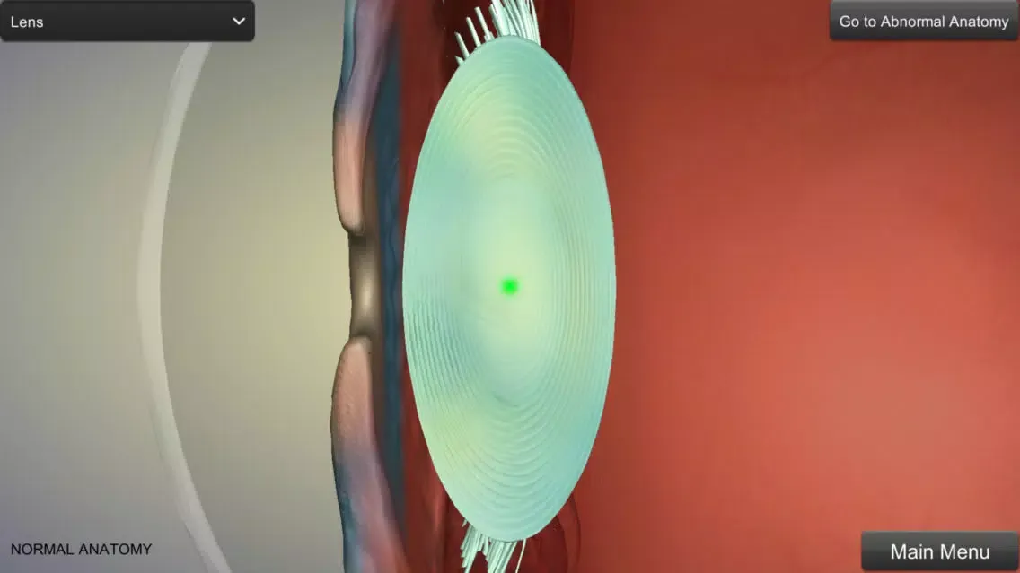 Eye Anatomy Ekran Görüntüleri