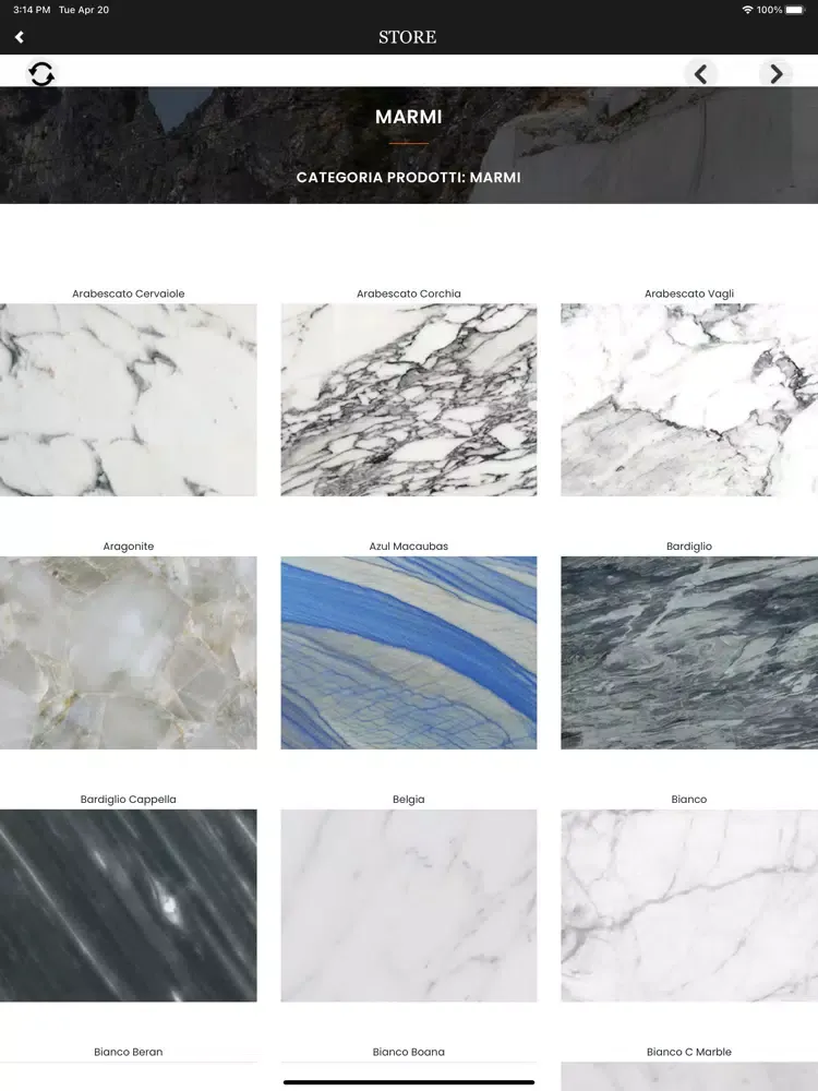 Screenshot di Professional Marble iPad 