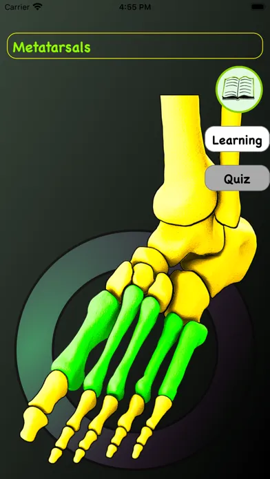 Foot Bones: Speed Anatomy Quiz スクリーンショット