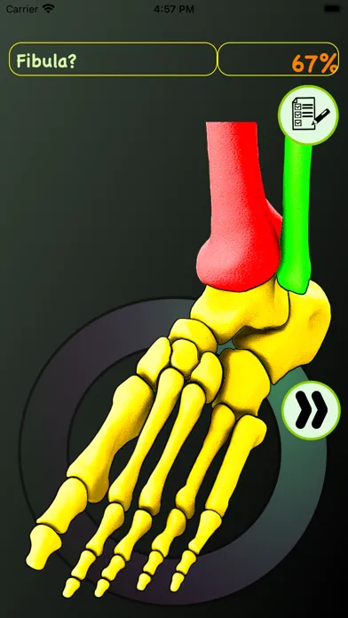 Foot Bones: Speed Anatomy Quiz スクリーンショット