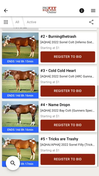Screenshot di ProFit Equine