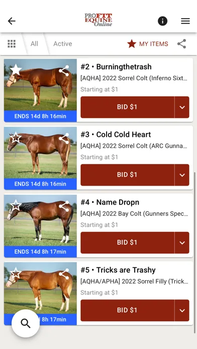 Screenshot di ProFit Equine