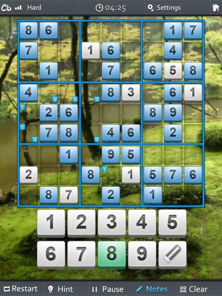 صور Zen Sudoku iPad 