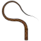 Whip Master