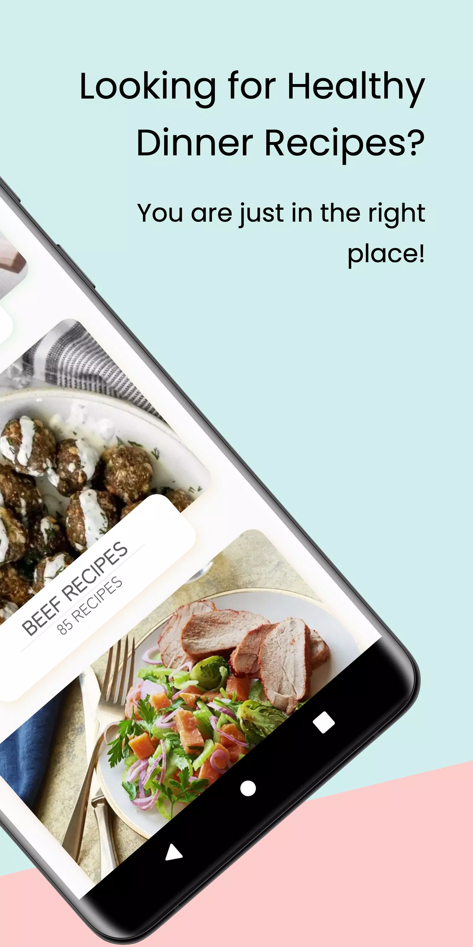 Healthy Dinner : 500+ Recipes Screenshots
