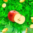 Juice livelihood