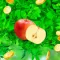 Juice livelihood