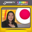 JAPANESE - Speakit.tv (Video Course) (5X008ol) JAPANESE - Speakit.tv (Video Course) (5X008ol)