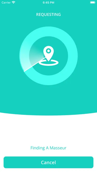 ProMassage User 스크린샷
