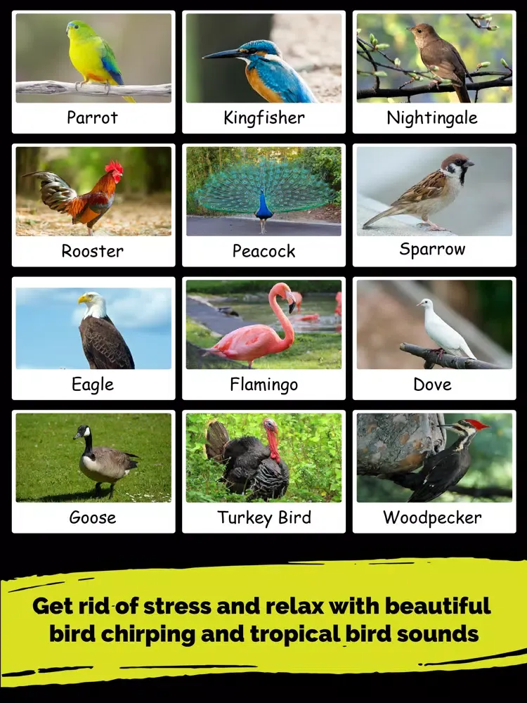 Tangkapan skrin Animal & Nature Sounds iPad 