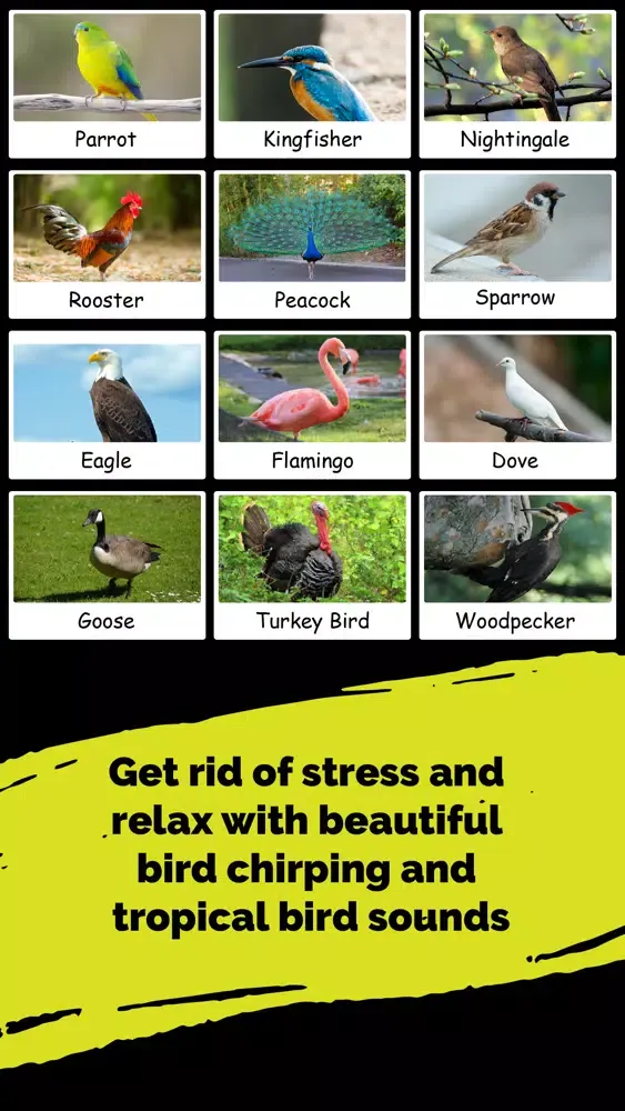 Tangkapan skrin Animal & Nature Sounds