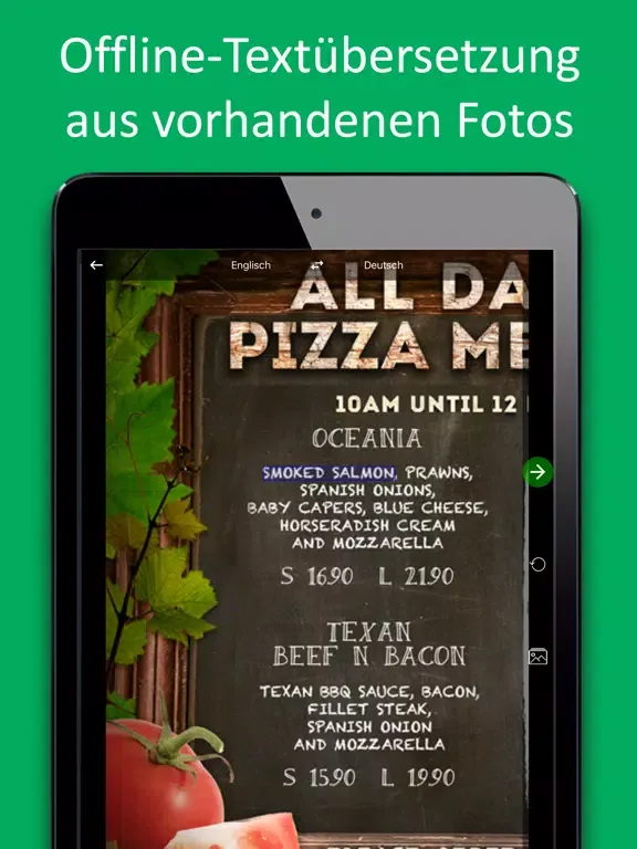 PROMT Offline-Übersetzer iPad  سکرین شاٹس