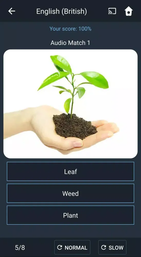 Learn British English. Speak B Screenshots