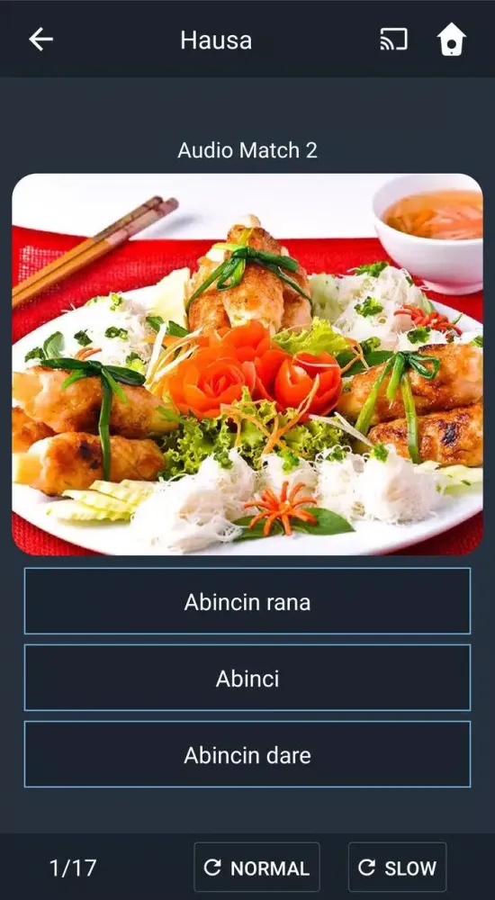 Screenshot di Learn Hausa. Speak Hausa. Stud