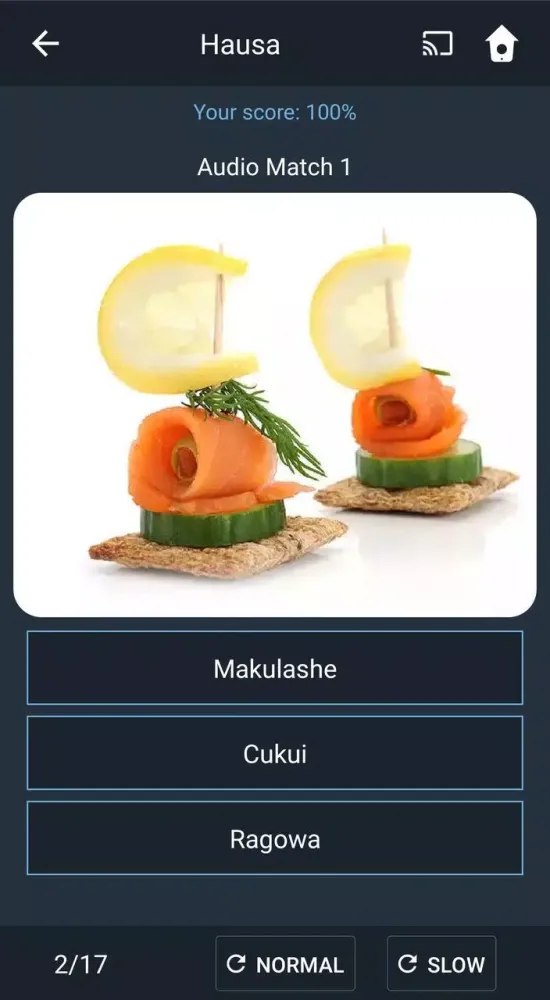 Screenshot di Learn Hausa. Speak Hausa. Stud