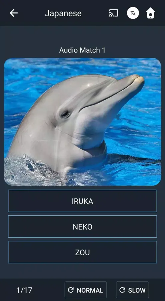 Capturas de pantalla de Learn Japanese. Speak Japanese