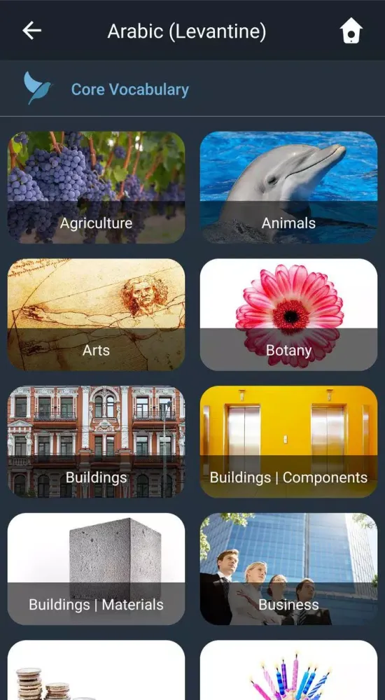Capturas de pantalla de Learn Levantine Arabic. Speak