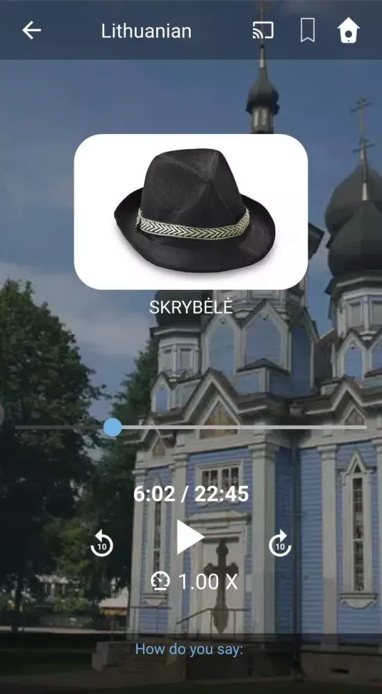 Learn Lithuanian. Speak Lithua Screenshots