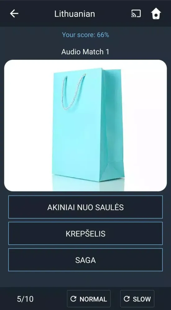 Learn Lithuanian. Speak Lithua Screenshots