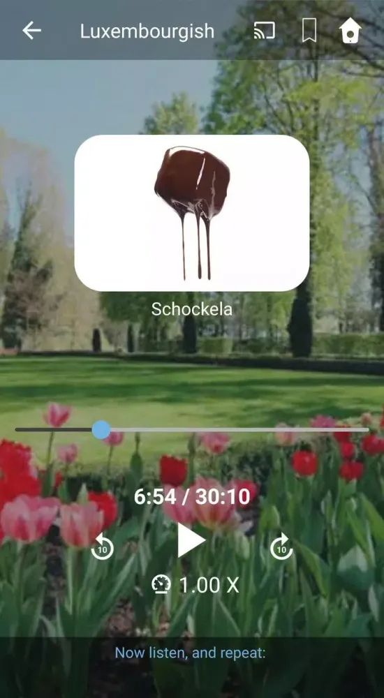 Capturas de pantalla de Learn Luxembourgish. Speak Lux