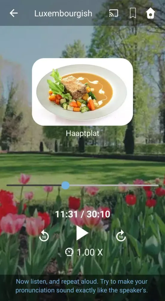 Capturas de pantalla de Learn Luxembourgish. Speak Lux