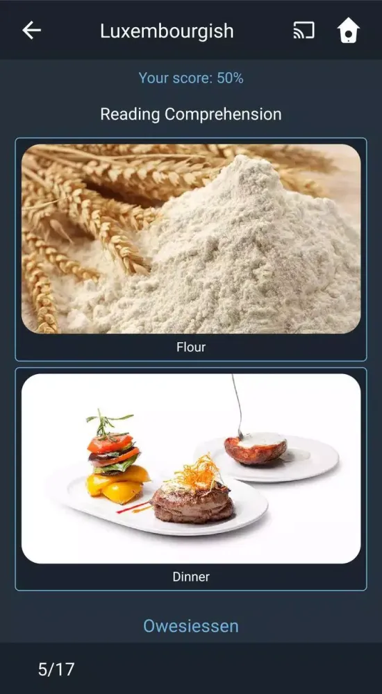 Capturas de pantalla de Learn Luxembourgish. Speak Lux