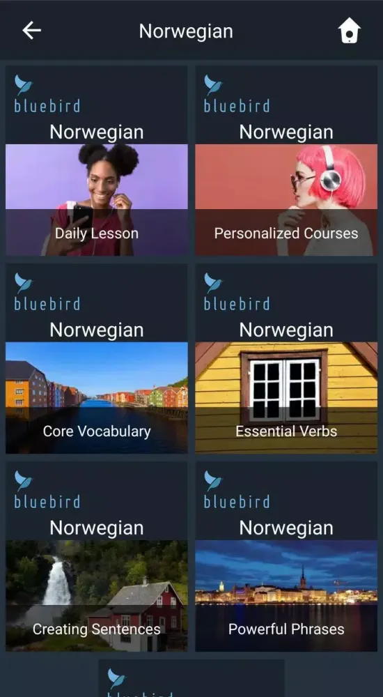 Learn Norwegian. Speak Norwegi Screenshots