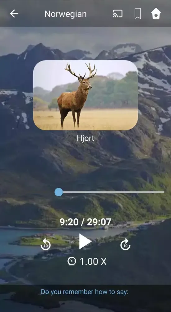 Learn Norwegian. Speak Norwegi Screenshots