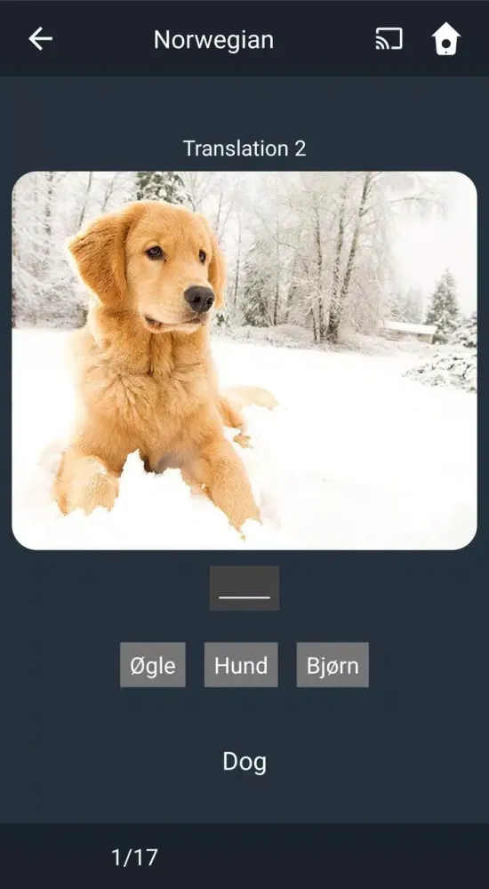 Learn Norwegian. Speak Norwegi Screenshots