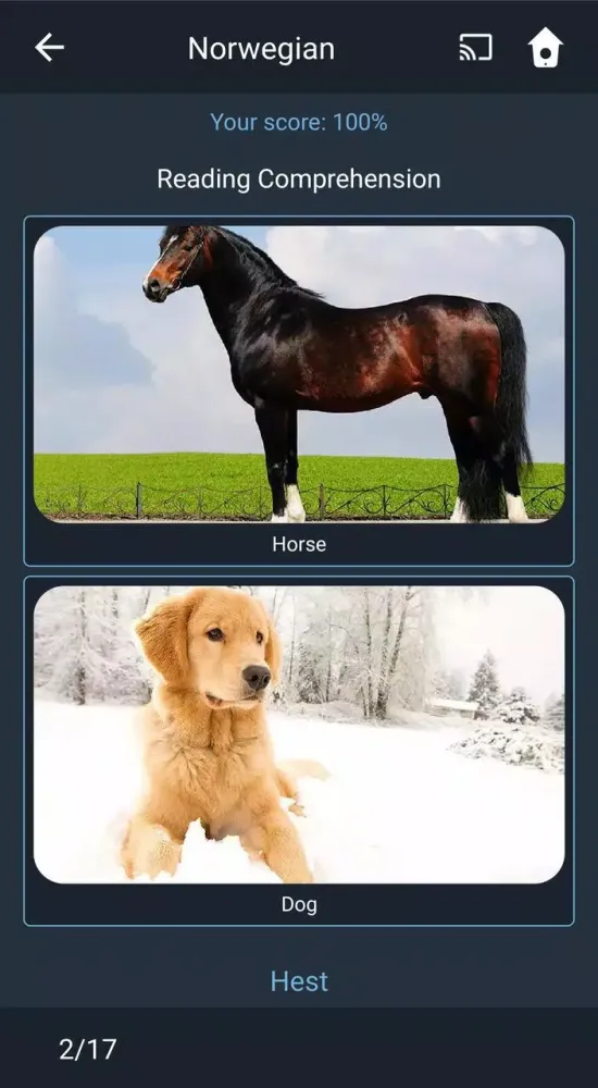 Learn Norwegian. Speak Norwegi Screenshots