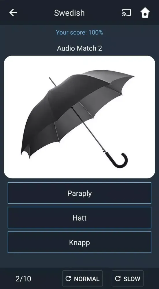 Learn Swedish. Speak Swedish. Screenshots