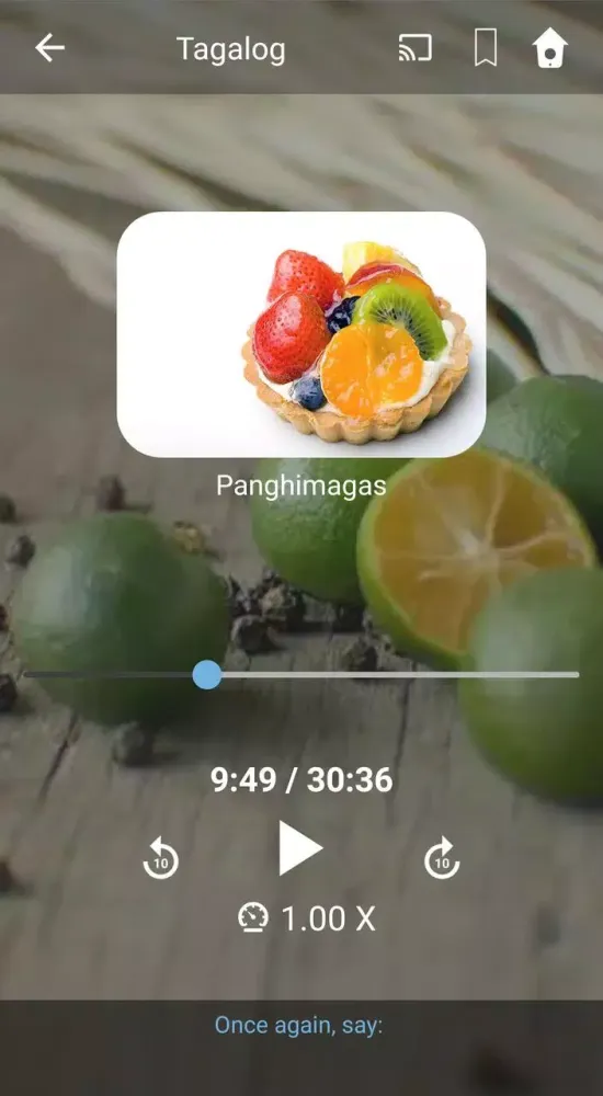 Learn Tagalog. Speak Tagalog.应用截图