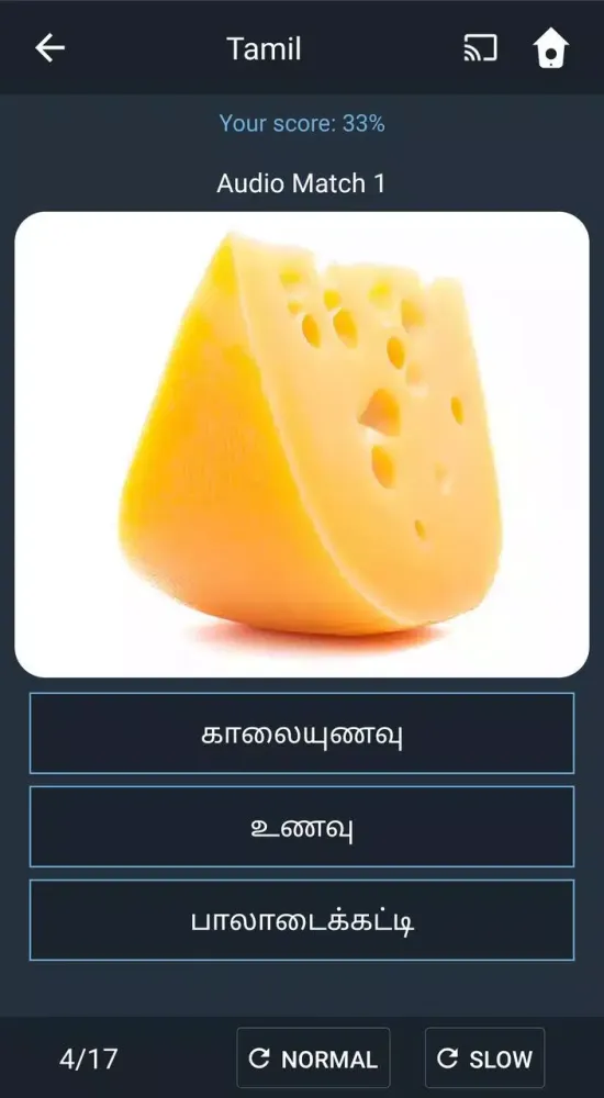 Learn Tamil. Speak Tamil. Stud 스크린샷