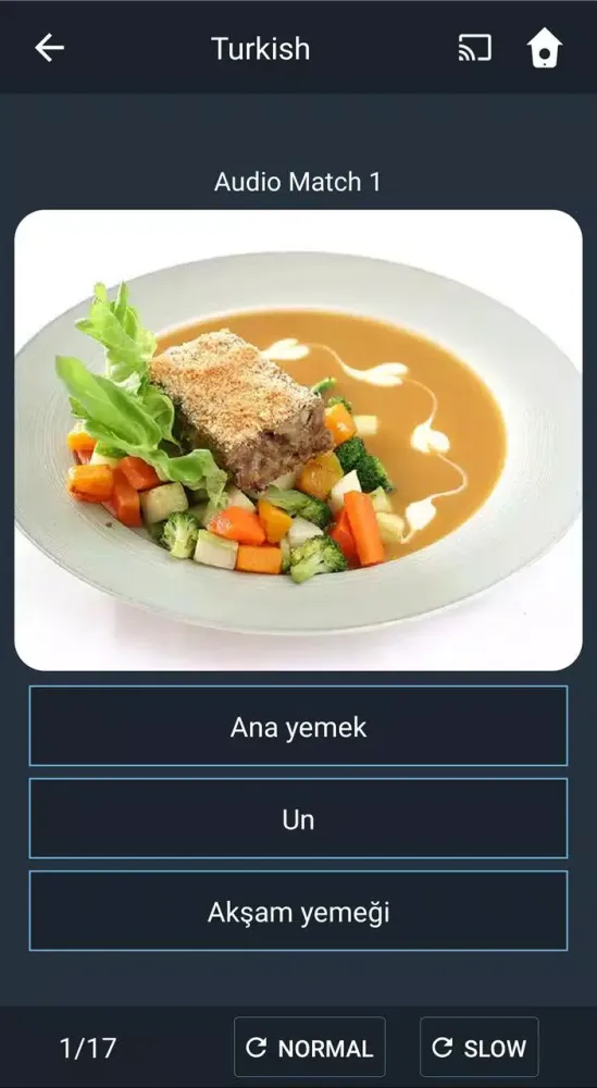 Learn Turkish. Speak Turkish. Screenshots