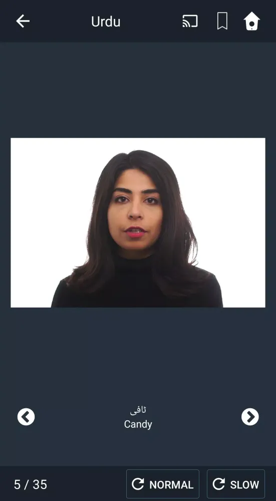 Learn Urdu. Speak Urdu. Study Screenshots