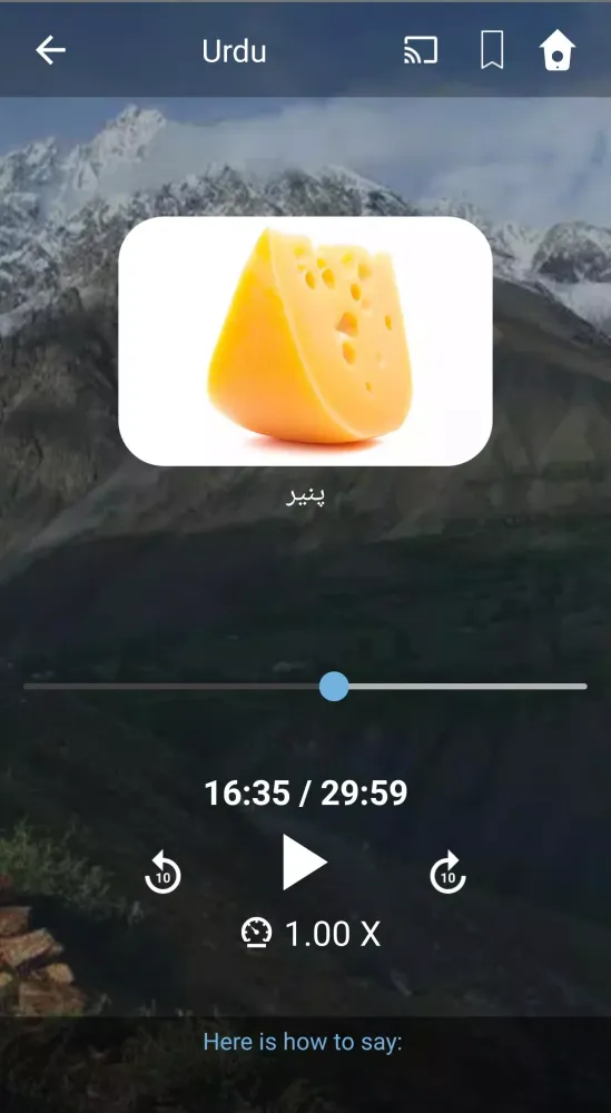 Learn Urdu. Speak Urdu. Study Screenshots