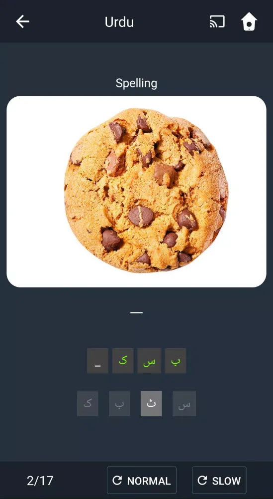Learn Urdu. Speak Urdu. Study Screenshots