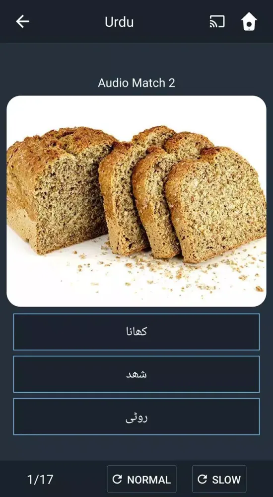 Learn Urdu. Speak Urdu. Study Screenshots