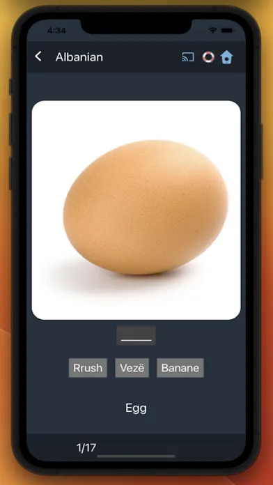 Скриншоты Bluebird: Learn Albanian
