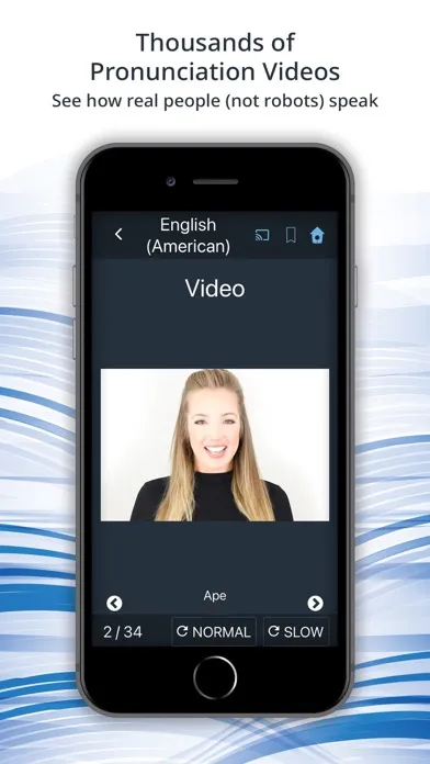 Bluebird: Learn US English應用截圖