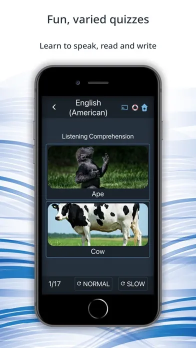 Bluebird: Learn US English應用截圖