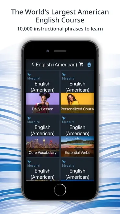 Bluebird: Learn US English應用截圖