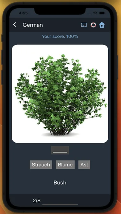 Bluebird: Learn German应用截图