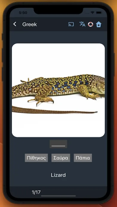Bluebird: Learn Greek Screenshots